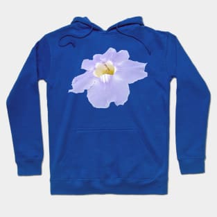 Blue skyflower Hoodie